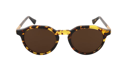 brown  |0889652448428